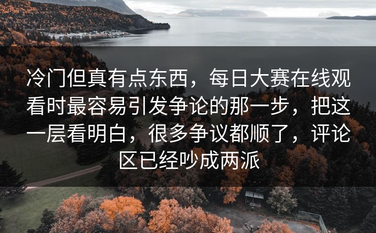 冷门但真有点东西,每日大赛在线观看时最容易引发争论的那一步,把这一层看明白,很多争议都顺了,评论区已经吵成两派 冷门但真有点东西,每日大赛在线观看时最容易引发争论的那一步,把这一层看明白,很多争议都顺了,评论区已经吵成两派